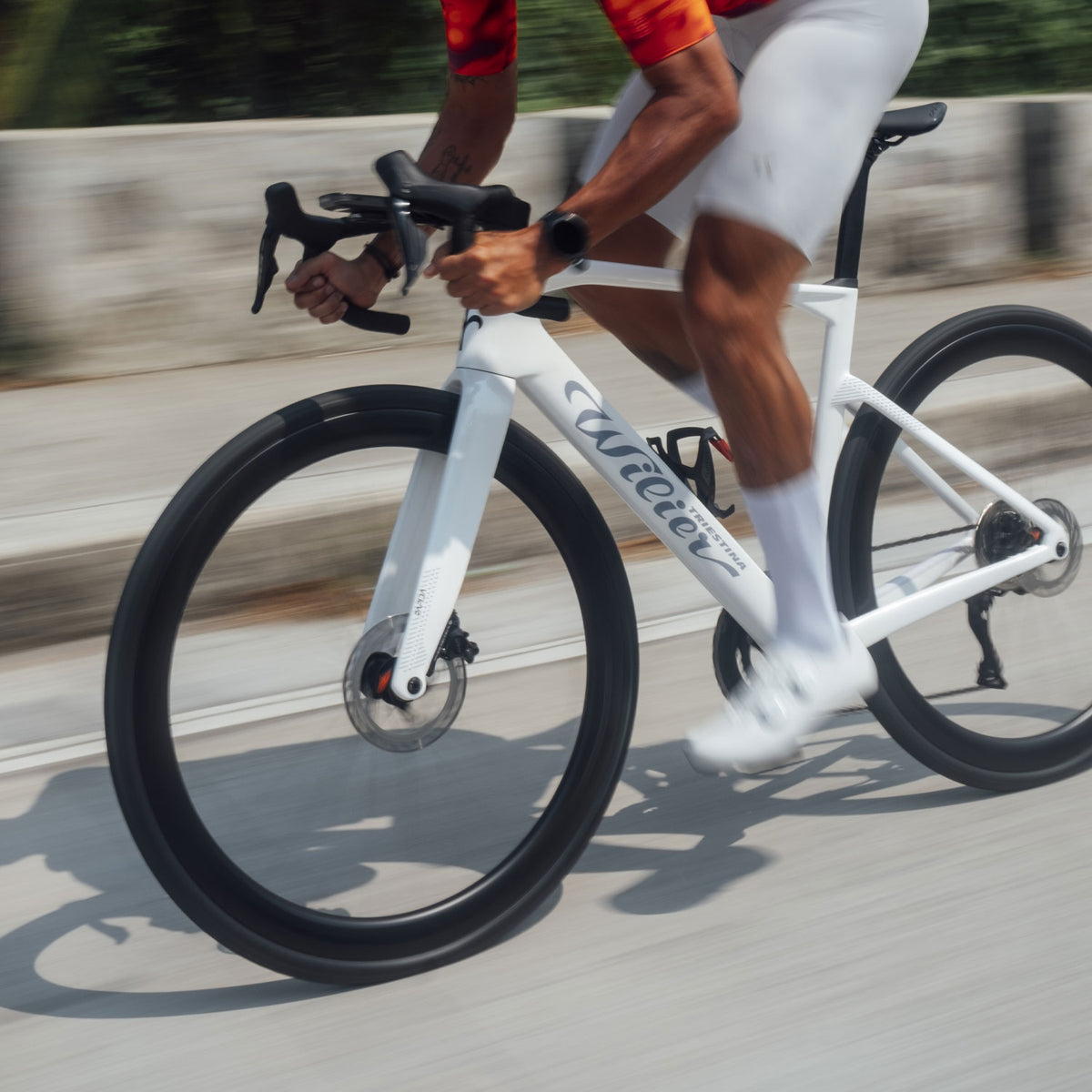 Willier Rapida Frameset