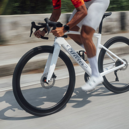 Willier Rapida Frameset